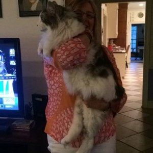 Meet your Posher, Gillian